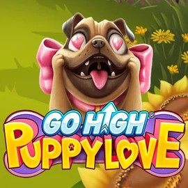 Go High Puppy Love slot logo by RubyPlay at Kingbet Casino
